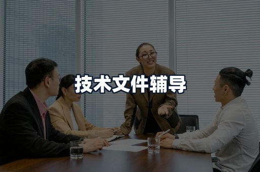 技术文件辅导